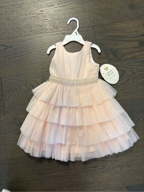 American princess pink girls ruffled dress 2T NWT ret $159 USD